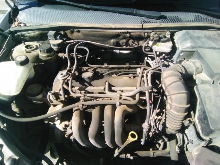 Vehiculo en el desguace: FORD Focus Berlina (CAK) Ambiente