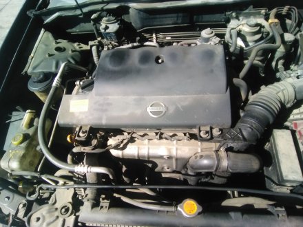 Vehiculo en el desguace: NISSAN ALMERA (N16/E) 2.2 dCi Diesel CAT