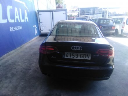 Vehiculo en el desguace: AUDI A4 B8 (8K2) 2.0 TDI