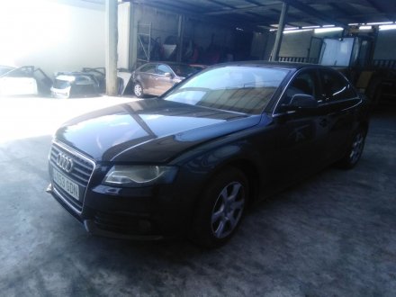 Vehiculo en el desguace: AUDI A4 B8 (8K2) 2.0 TDI