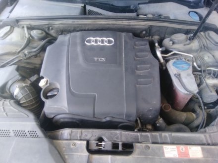 Vehiculo en el desguace: AUDI A4 B8 (8K2) 2.0 TDI