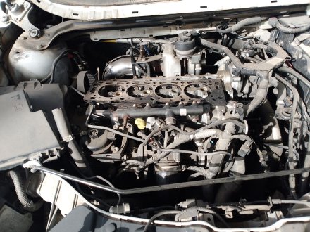 Vehiculo en el desguace: FORD KUGA II (DM2) 2.0 TDCi 4x4