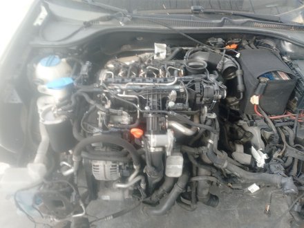 Vehiculo en el desguace: VOLKSWAGEN GOLF VI (5K1) 1.6 TDI