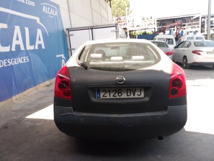 Vehiculo en el desguace: NISSAN PRIMERA Hatchback (P12) 1.9 dCi