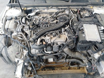 Vehiculo en el desguace: MERCEDES-BENZ CLASE A (W177) A 180 d (177.010)