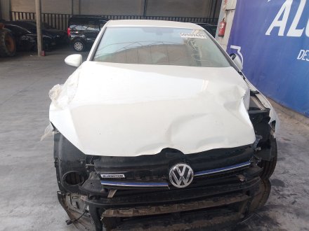Vehiculo en el desguace: VOLKSWAGEN GOLF VII (5G1, BQ1, BE1, BE2) 1.5 TGI