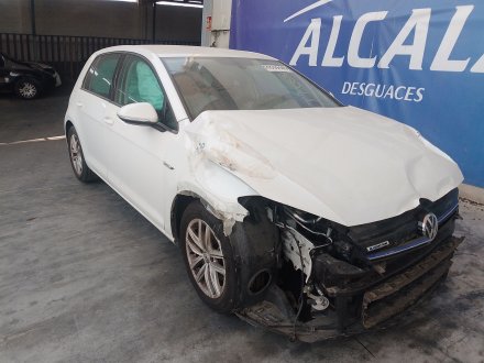 Vehiculo en el desguace: VOLKSWAGEN GOLF VII (5G1, BQ1, BE1, BE2) 1.5 TGI