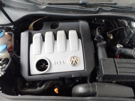 Vehiculo en el desguace: VOLKSWAGEN GOLF PLUS V (5M1, 521) 1.9 TDI