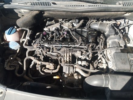 Vehiculo en el desguace: VOLKSWAGEN CADDY III Monospace (2KB, 2KJ, 2CB, 2CJ) 1.6 TDI