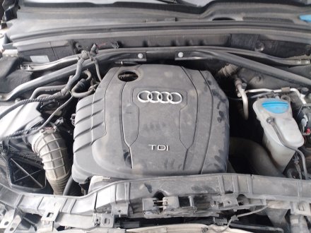 Vehiculo en el desguace: AUDI Q5 (8RB) 2.0 TDI quattro