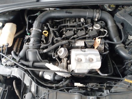 Vehiculo en el desguace: FORD FOCUS III 1.0 EcoBoost