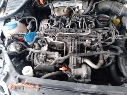 Vehiculo en el desguace: VOLKSWAGEN POLO V (6R1, 6C1) 1.6 TDI