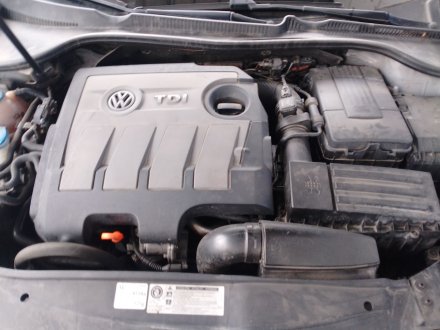 Vehiculo en el desguace: VOLKSWAGEN GOLF VI (5K1) 1.6 TDI
