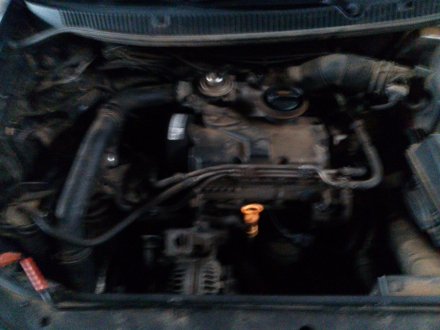 Vehiculo en el desguace: VOLKSWAGEN POLO IV (9N_, 9A_) 1.4 TDI