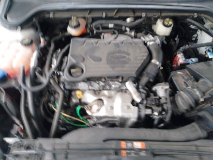 Vehiculo en el desguace: FORD FOCUS IV (HN) 1.5 EcoBlue