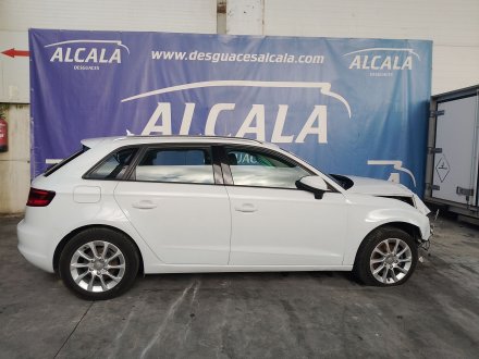 Vehiculo en el desguace: AUDI A3 (8V1, 8VK) 1.6 TDI