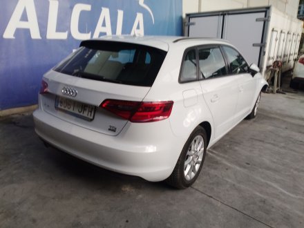 Vehiculo en el desguace: AUDI A3 (8V1, 8VK) 1.6 TDI