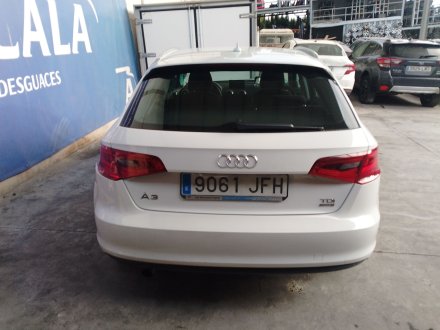 Vehiculo en el desguace: AUDI A3 (8V1, 8VK) 1.6 TDI