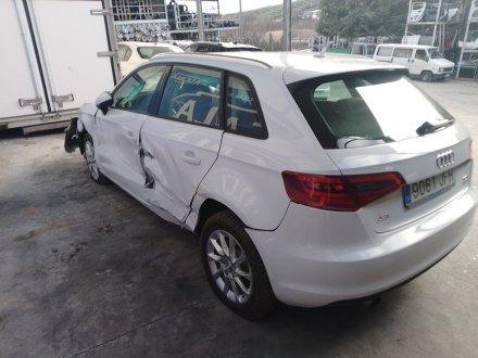 Vehiculo en el desguace: AUDI A3 (8V1, 8VK) 1.6 TDI