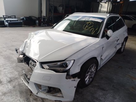 Vehiculo en el desguace: AUDI A3 (8V1, 8VK) 1.6 TDI