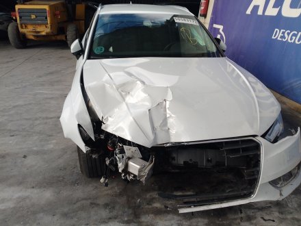Vehiculo en el desguace: AUDI A3 (8V1, 8VK) 1.6 TDI