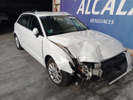 Vehiculo en el desguace: AUDI A3 (8V1, 8VK) 1.6 TDI