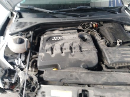 Vehiculo en el desguace: AUDI A3 (8V1, 8VK) 1.6 TDI