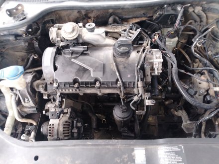 Vehiculo en el desguace: VOLKSWAGEN GOLF V (1K1) 1.9 TDI