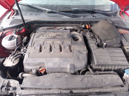 Vehiculo en el desguace: AUDI A3 (8V1, 8VK) 2.0 TDI