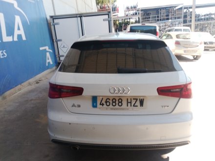 Vehiculo en el desguace: AUDI A3 (8V1, 8VK) 1.6 TDI