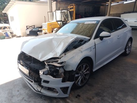Vehiculo en el desguace: AUDI A3 (8V1, 8VK) 1.6 TDI