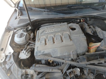 Vehiculo en el desguace: AUDI A3 (8V1, 8VK) 1.6 TDI