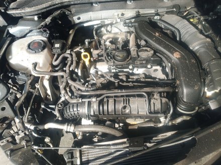 Vehiculo en el desguace: CUPRA FORMENTOR (KM7, KMP) 1.5 TSI