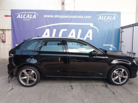 Vehiculo en el desguace: AUDI A3 (8V1, 8VK) 1.6 TDI