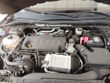 Vehiculo en el desguace: FORD KUGA III (DFK) 2.0 TDCi