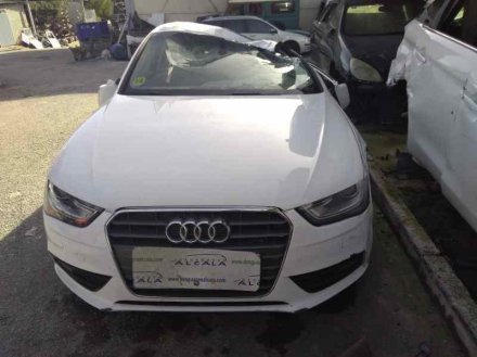 AUDI A4 BER. (B8) Basis DesguacesAlcala