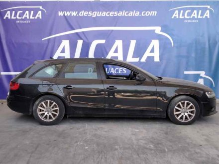 Vehiculo en el desguace: AUDI A4 AVANT (8K5) (2008) Básico