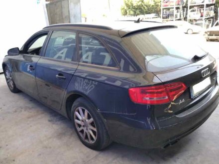 Vehiculo en el desguace: AUDI A4 AVANT (8K5) (2008) Básico