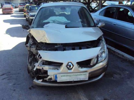 Vehiculo en el desguace: RENAULT SCENIC II Authentique