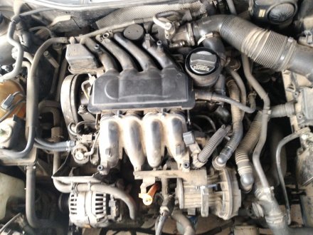 Vehiculo en el desguace: AUDI A3 (8L) 1.6 Ambiente