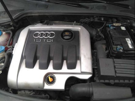 Vehiculo en el desguace: AUDI A3 (8P) 1.9 TDI Ambiente