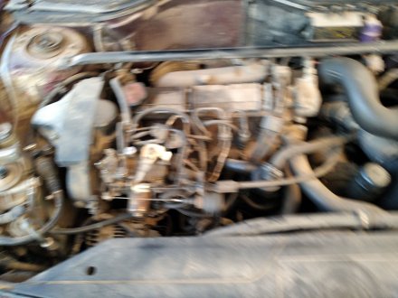 Vehiculo en el desguace: RENAULT 19 (B/C/L53) 1.9 DIESEL