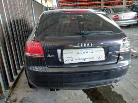 Vehiculo en el desguace: AUDI A3 (8P) 2.0 TDI Ambiente