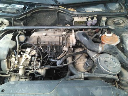 Vehiculo en el desguace: RENAULT 19 (B/C/L53) 1.9 DIESEL