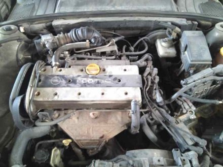 Vehiculo en el desguace: OPEL VECTRA B BERLINA Básico (1999->)