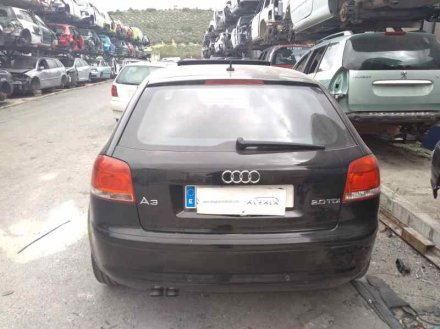 Vehiculo en el desguace: AUDI A3 (8P) 2.0 TDI Ambiente