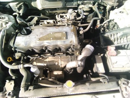 Vehiculo en el desguace: NISSAN ALMERA (N16/E) Acenta