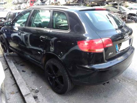 Vehiculo en el desguace: AUDI A3 (8P) 2.0 TDI Ambiente