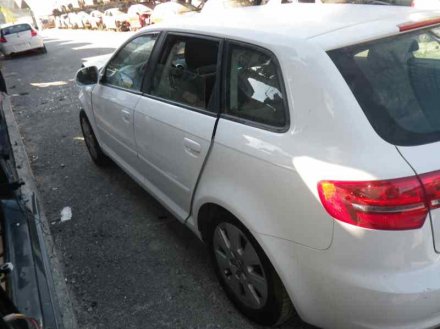 Vehiculo en el desguace: AUDI A3 SPORTBACK (8P) 1.9 TDIe