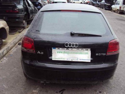 Vehiculo en el desguace: AUDI A3 (8P) 2.0 TDI Ambiente